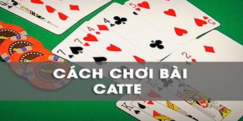 Anh em nắm rõ cách chơi bài catte để thắng lớn