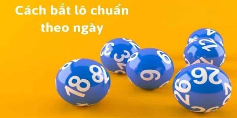 Có nhiều phương pháp bắt lô để nuôi cho cả tuần có độ hiệu quả rất cao