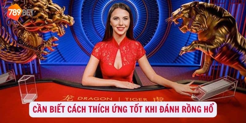 Cần biết cách thích ứng tốt khi đánh Rồng Hổ