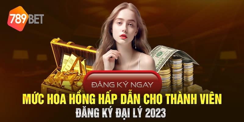 Mỗi thành viên khi tham gia đại lý 789bet đều được hưởng quyền lợi