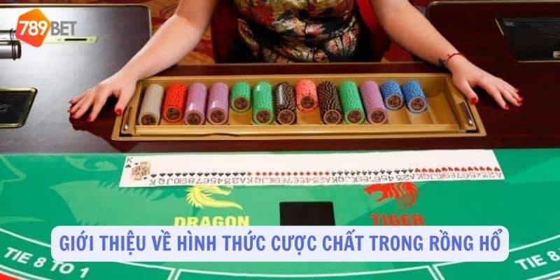 Giới thiệu khái niệm cược chất trong Rồng Hổ