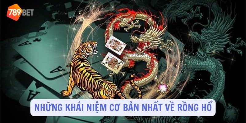 Những khái niệm cơ bản nhất về game Rồng Hổ