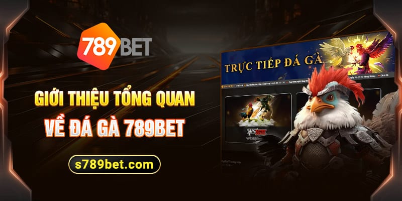 Chơi đá gà 789bet an toàn và uy tín