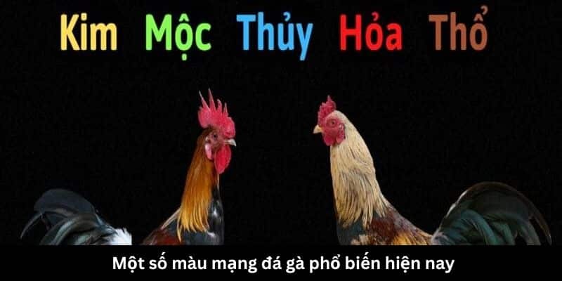 Một số màu mạng đá gà phổ biến hiện nay 