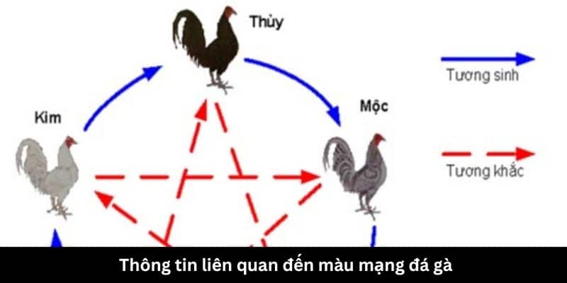 Thông tin liên quan đến màu mạng đá gà 