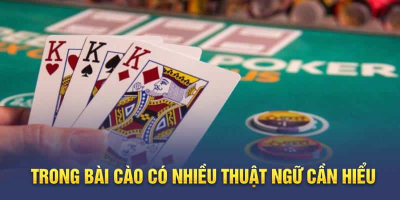 Trong bài cào có nhiều thuật ngữ cần hiểu