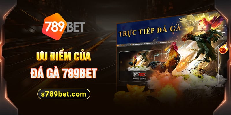 Ưu điểm của đá gà 789bet