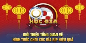 Giới thiệu tổng quan về hình thức chơi xóc đĩa bịp hiệu quả 